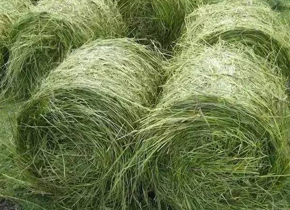 牧草烘干機(jī)